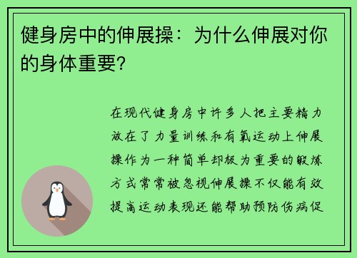 健身房中的伸展操：为什么伸展对你的身体重要？